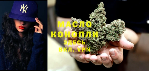мдпв Ладушкин