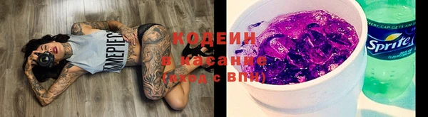 мдпв Ладушкин