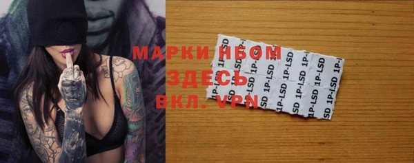 мдпв Ладушкин