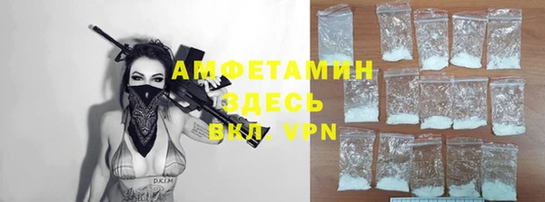 мдпв Ладушкин