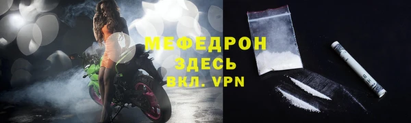 мдпв Ладушкин