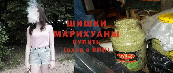 мдпв Ладушкин