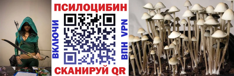 Псилоцибиновые грибы Psilocybine cubensis  наркотики  Рубцовск 